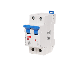 Double Pole MCB 'C' Curve