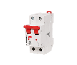 Double Pole Isolator