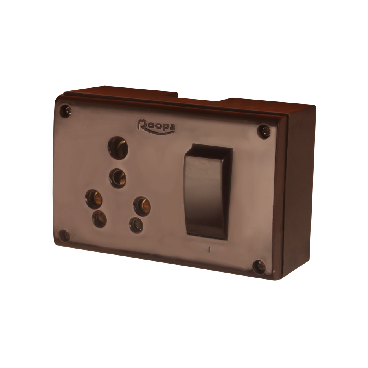 Switches & Accessories