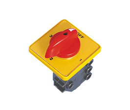 Cam Operated Rotary Switch